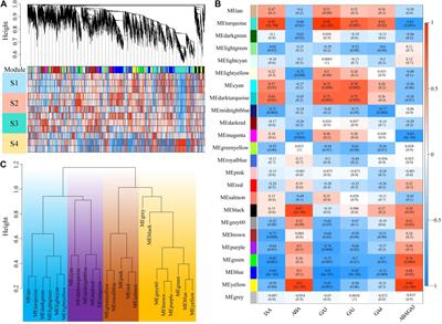 Integrative Identification of Crucial Genes Associated With Plant Hormone-Mediated Bud Dormancy in Prunus mume